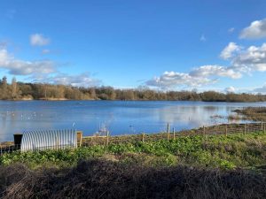 The Amwell Nature Reserve